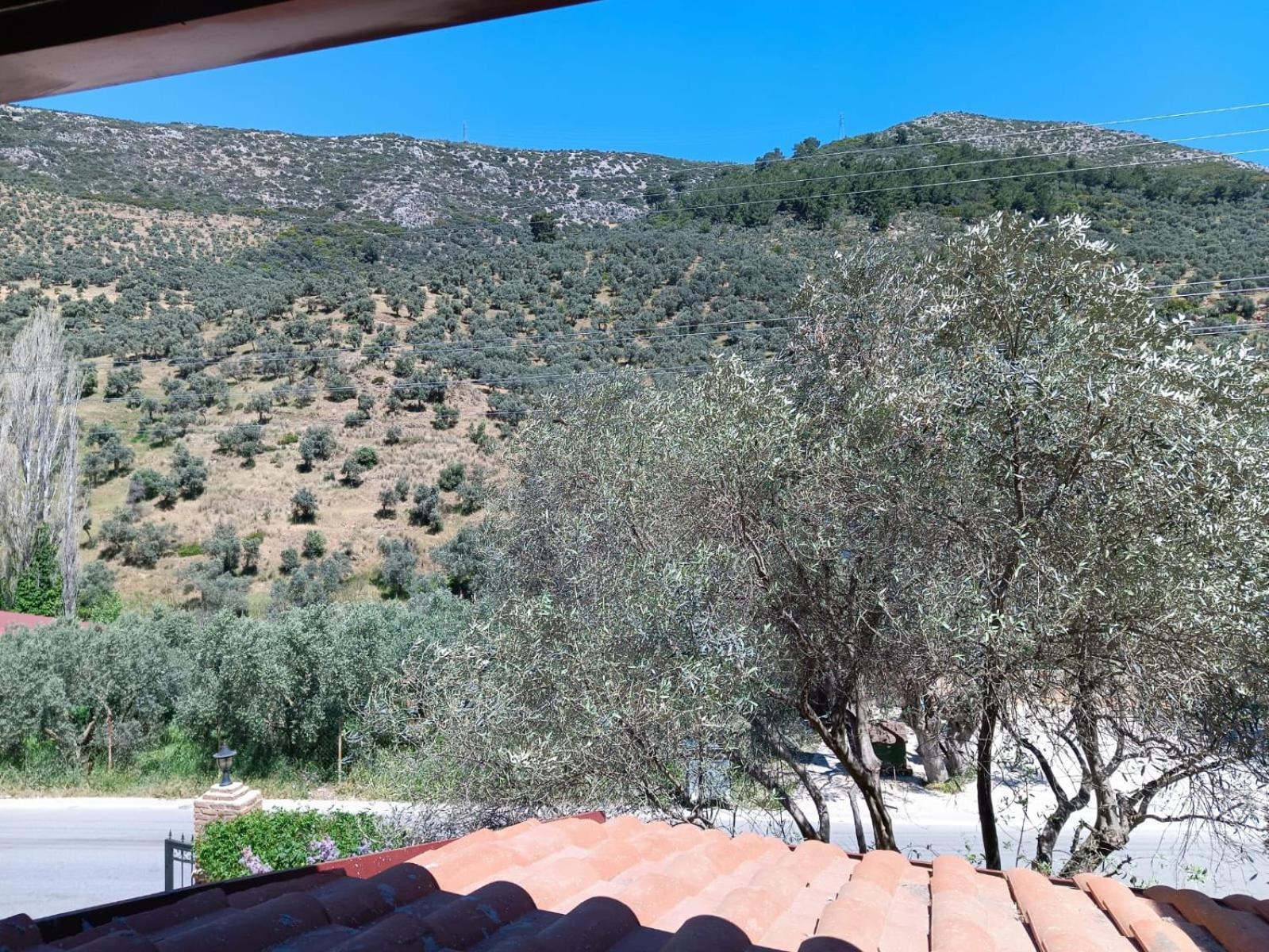 Şirince Klaseas Hotel&Restaurant Selçuk Exterior foto